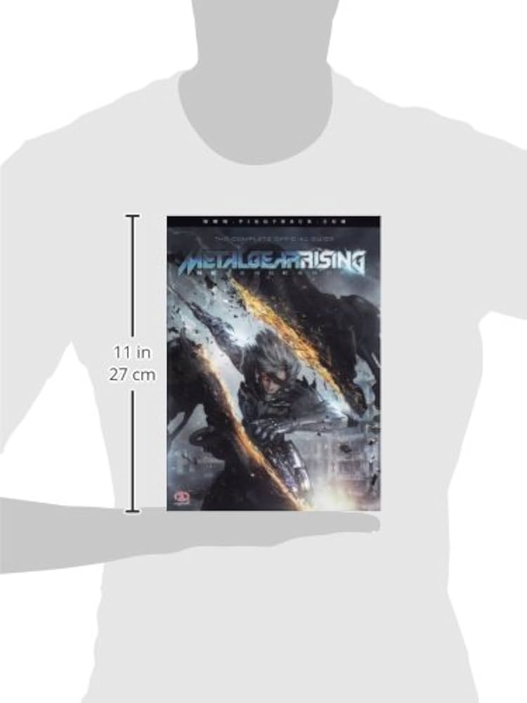 l Gear Rising: Revengeance　リトグラフ付き s-l1200.jpg